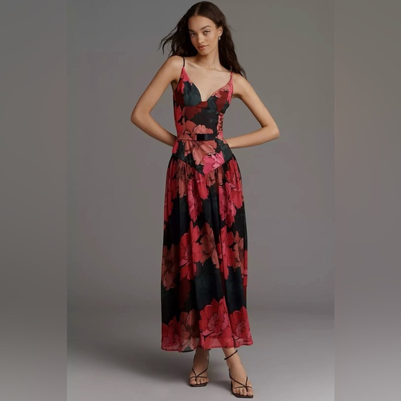 Hutch Dresses & Skirts - Hutch Ruby Sweetheart Drop-Waist Maxi Dress with Belt